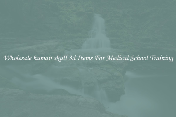 Wholesale human skull 3d Items For Medical School Training