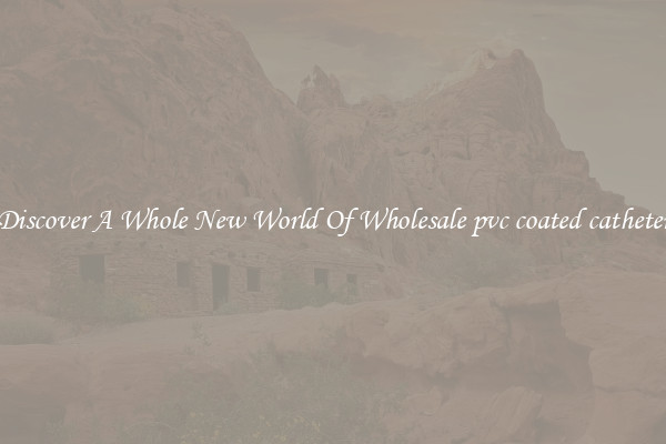 Discover A Whole New World Of Wholesale pvc coated catheter