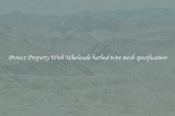 Protect Property With Wholesale barbed wire mesh specification