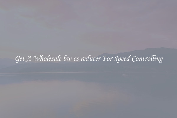 Get A Wholesale bw cs reducer For Speed Controlling