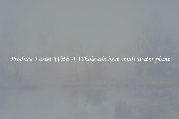 Produce Faster With A Wholesale best small water plant