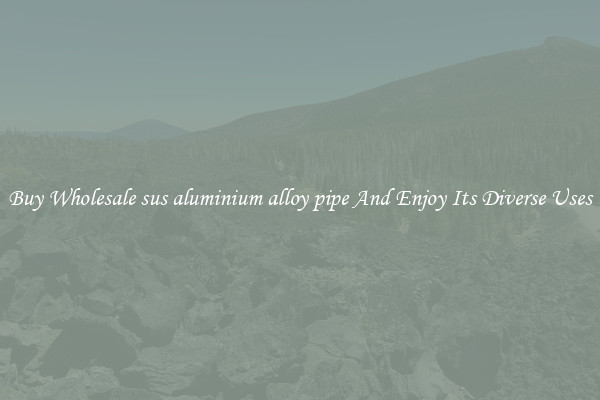 Buy Wholesale sus aluminium alloy pipe And Enjoy Its Diverse Uses