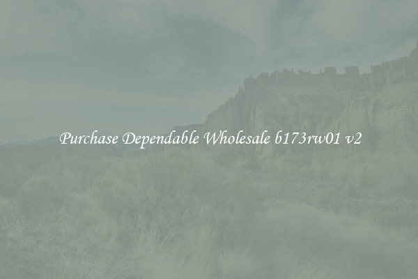 Purchase Dependable Wholesale b173rw01 v2