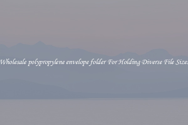 Wholesale polypropylene envelope folder For Holding Diverse File Sizes