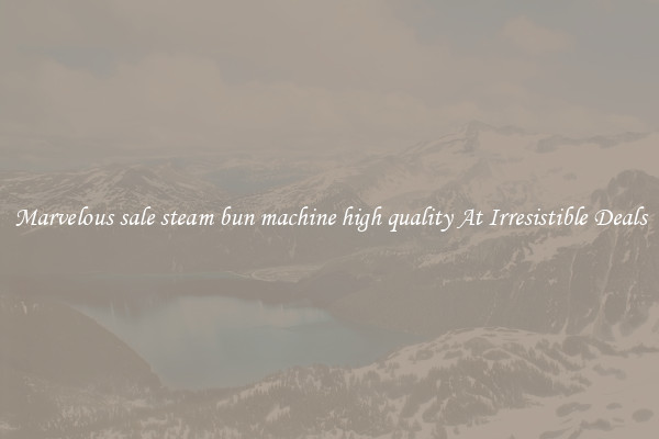 Marvelous sale steam bun machine high quality At Irresistible Deals