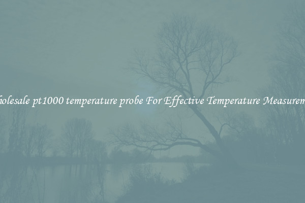 Wholesale pt1000 temperature probe For Effective Temperature Measurement