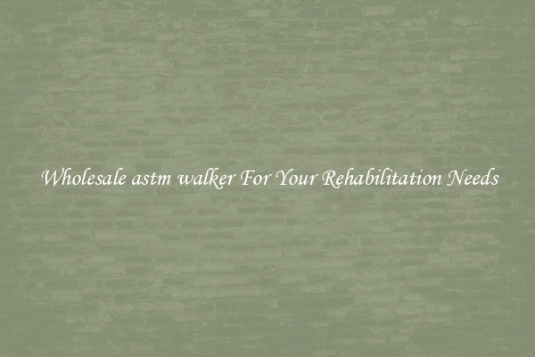 Wholesale astm walker For Your Rehabilitation Needs