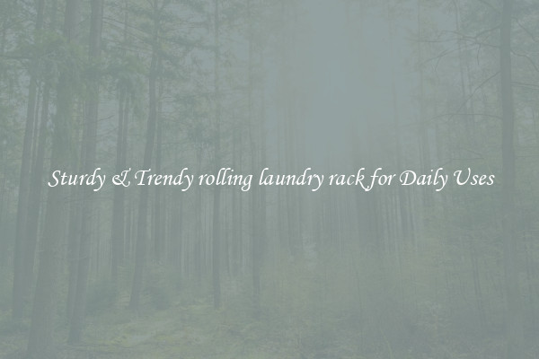 Sturdy & Trendy rolling laundry rack for Daily Uses