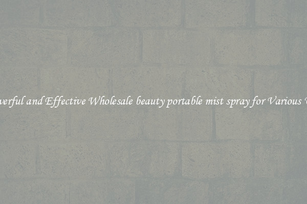 Powerful and Effective Wholesale beauty portable mist spray for Various Uses