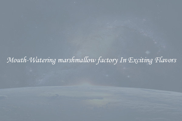 Mouth-Watering marshmallow factory In Exciting Flavors