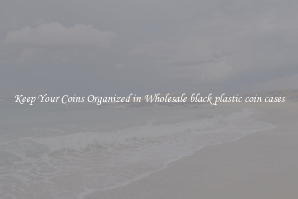 Keep Your Coins Organized in Wholesale black plastic coin cases